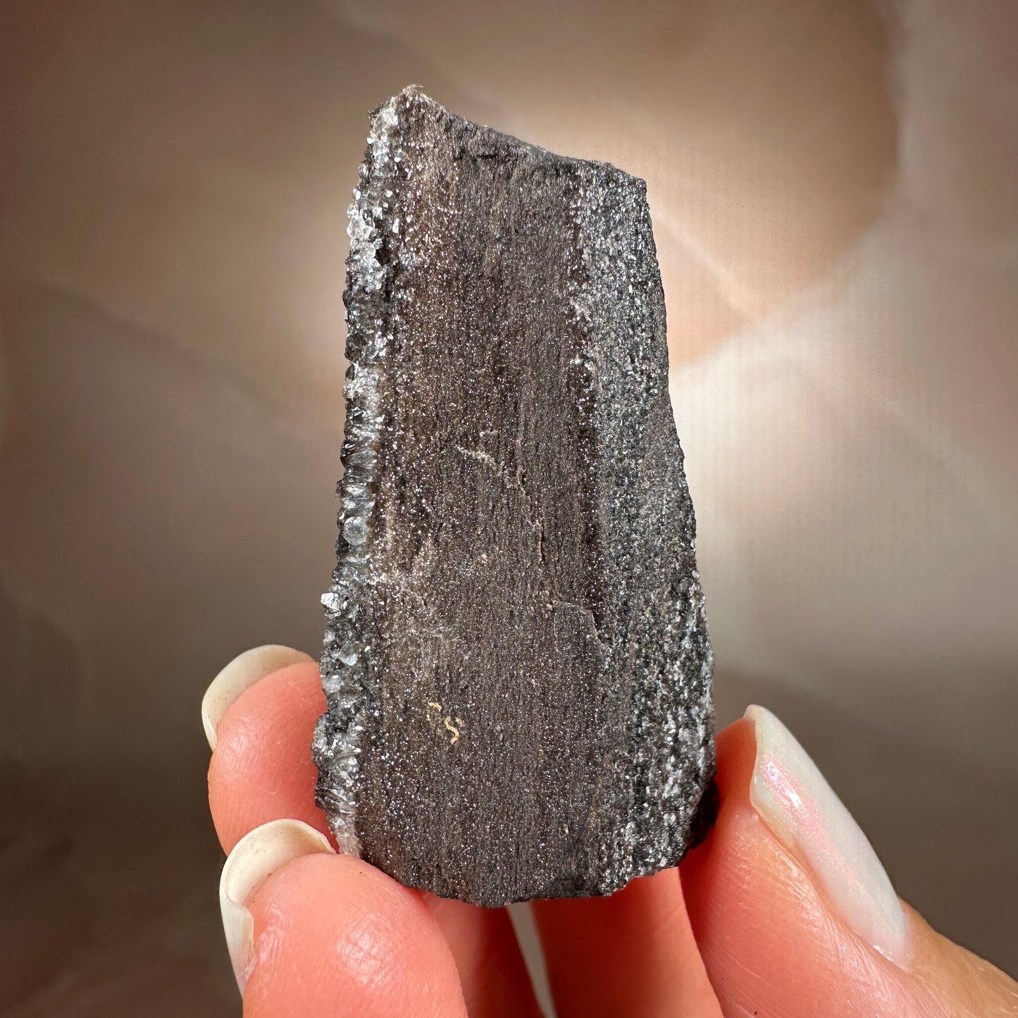 Crystallized Fossil Wood with Smoky Quartz Druzy, 18g | Arizona