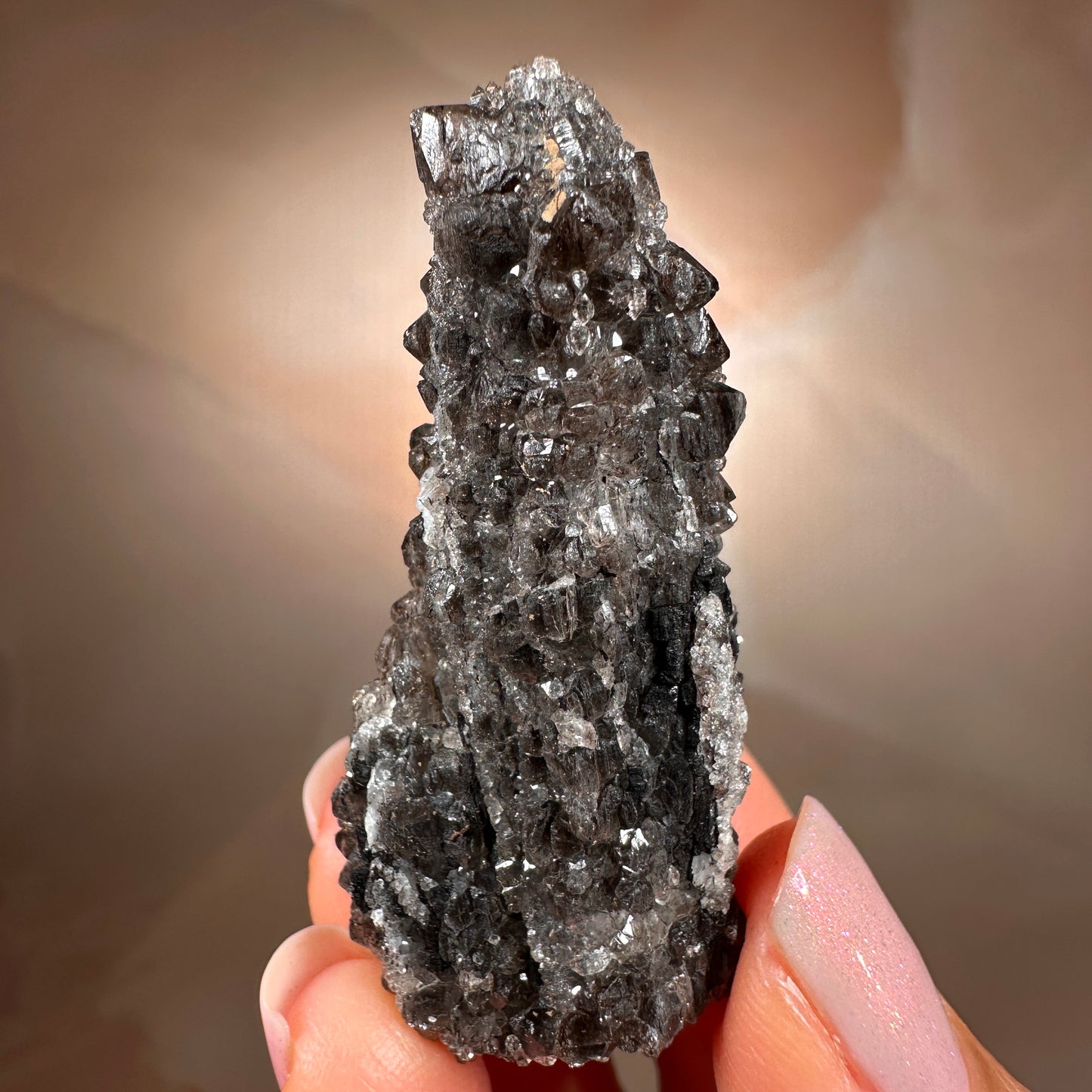 Crystallized Fossil Wood with Smoky Quartz Druzy, 18g — Arizona