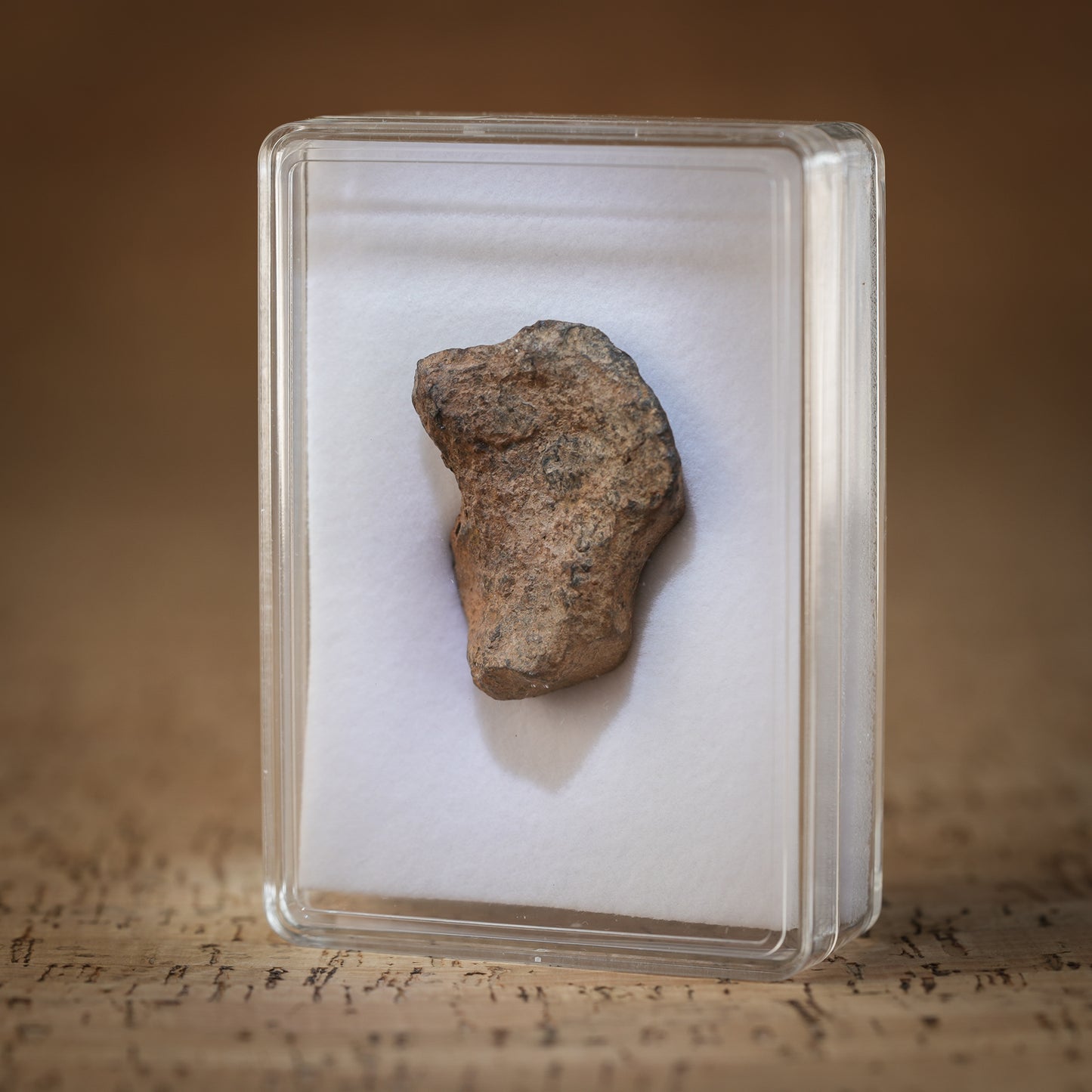 28.2g Gibeon Meteorite with Desert Patina, Namibia, Africa. Includes Collectors Display Box with COA.