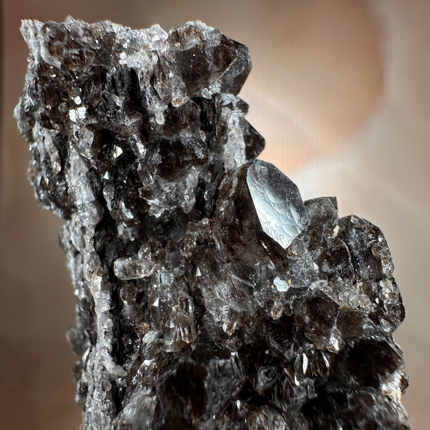 Crystallized Fossil Wood with Smoky Quartz Druzy, 50g — Arizona