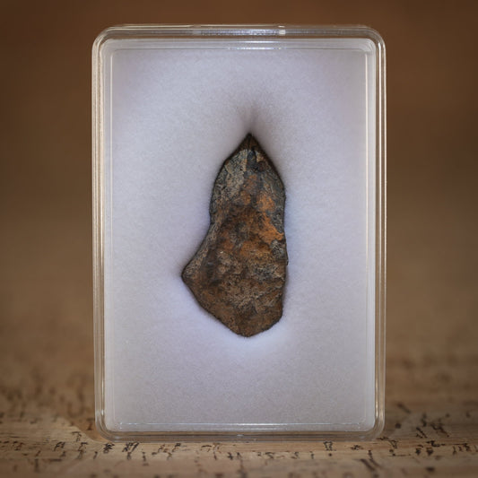 Gibeon Meteorite