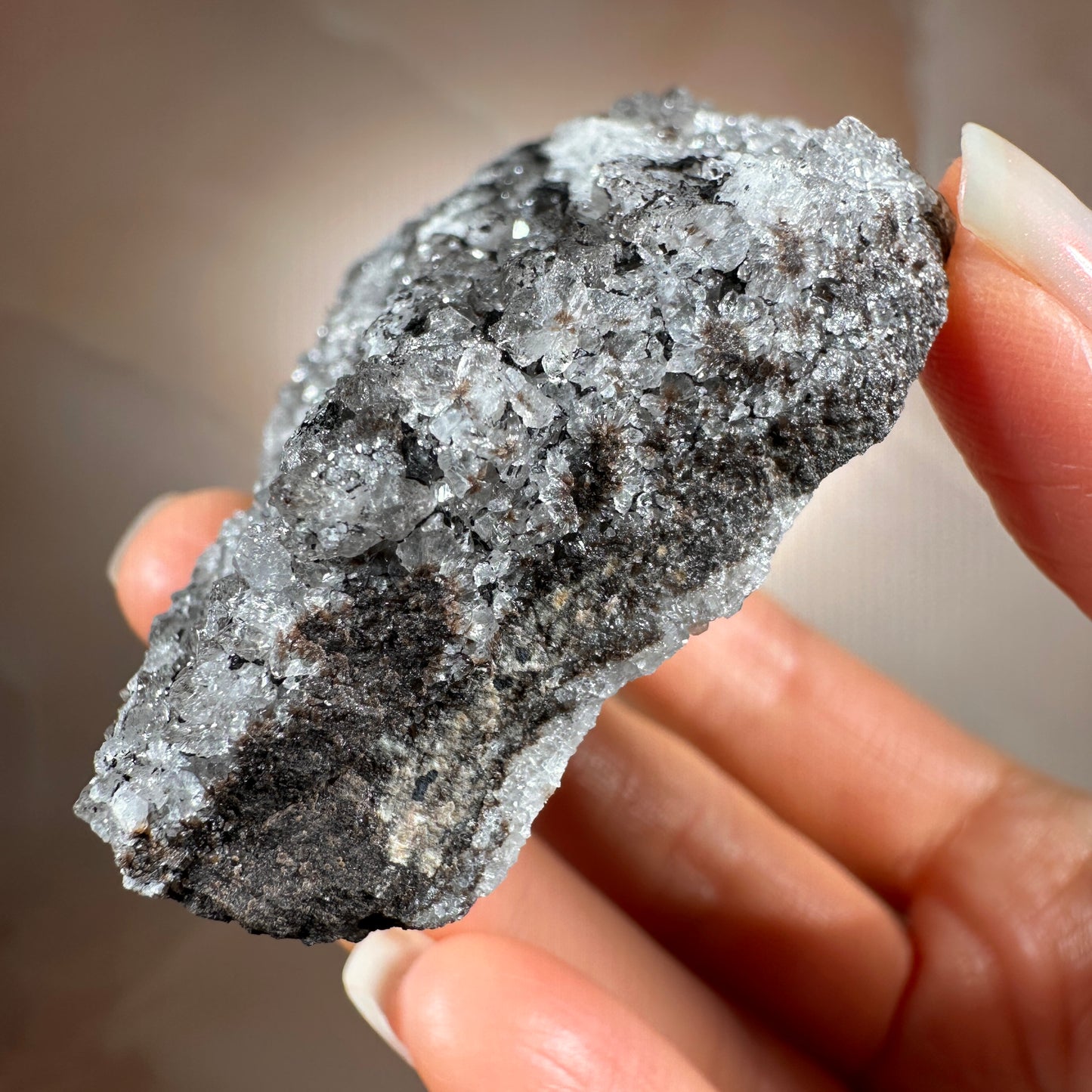 Crystallized Fossil Wood with Silver Smoky Quartz Druzy, 96g | Arizona