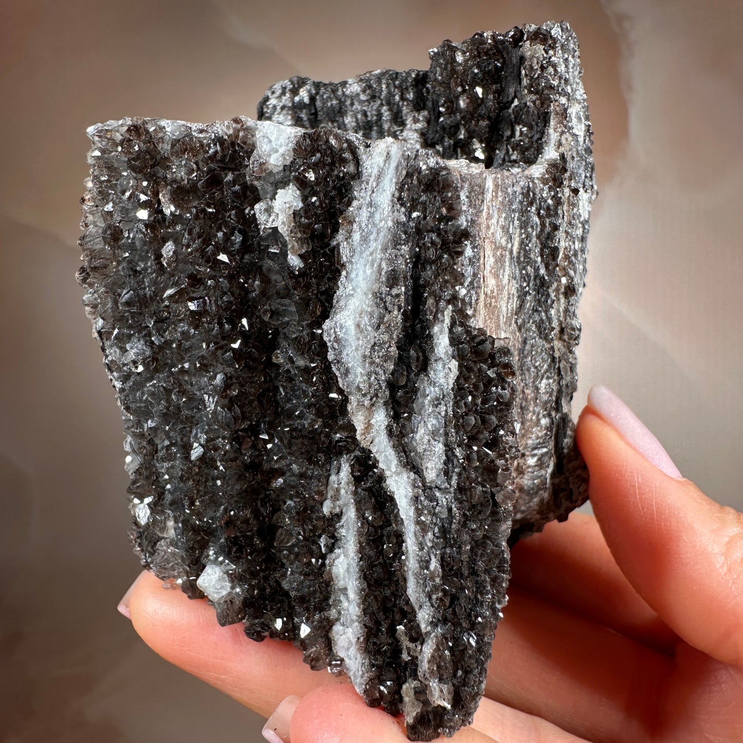 Crystallized Fossil Wood with Smoky Quartz Druzy, 383g — Arizona