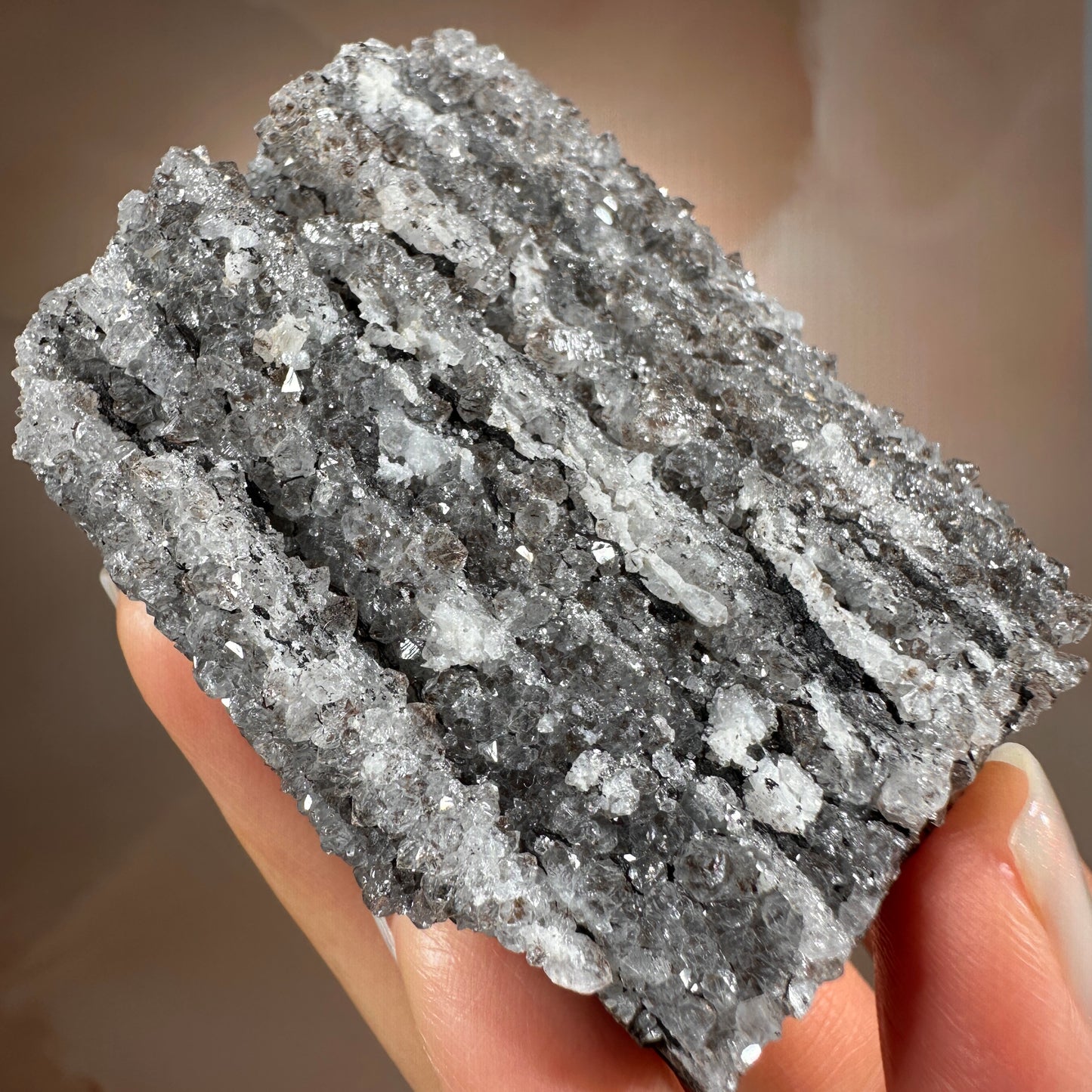 Crystallized Fossil Wood with Silver Smoky Quartz Druzy, 104g | Arizona