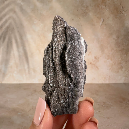 Permineralized Fossil Wood with Smoky Quartz, 36g | Northern Arizona