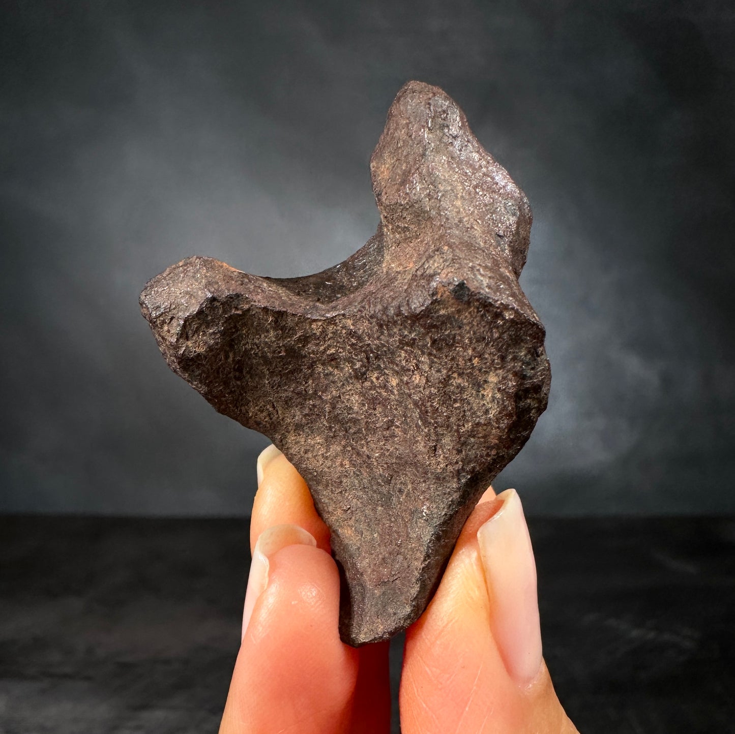 Mundrabilla Meteorite, 72.7g, Premium Collector's Specimen | Nullarbor Plain, Western Australia