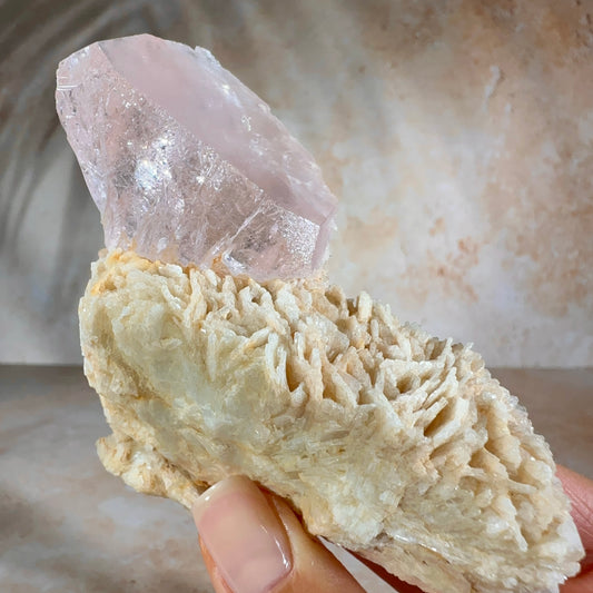 Peachy-Pink Morganite on Cleavelandite | Minas Gerais, Brazil, 175g