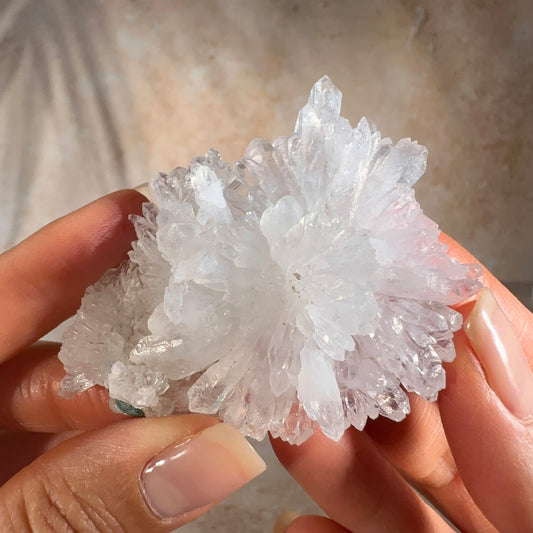 Starburst Quartz, 40g | Iraí, Rio Grande do Sul, Brazil