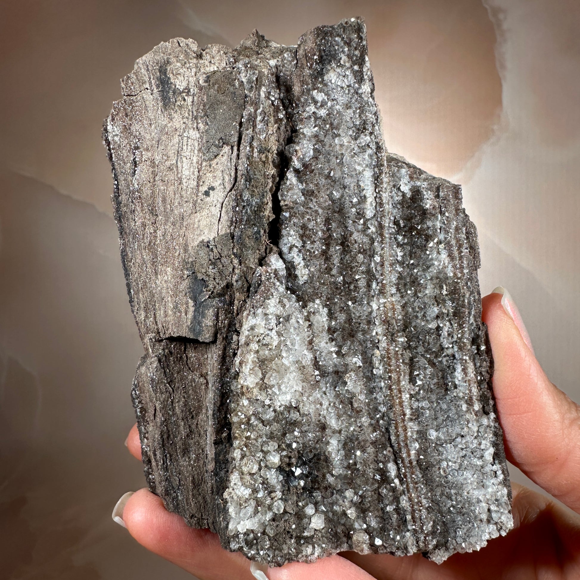 Crystallized Fossil Wood, 335g, Smoky Quartz Druzy on Petrified Wood from Arizona.