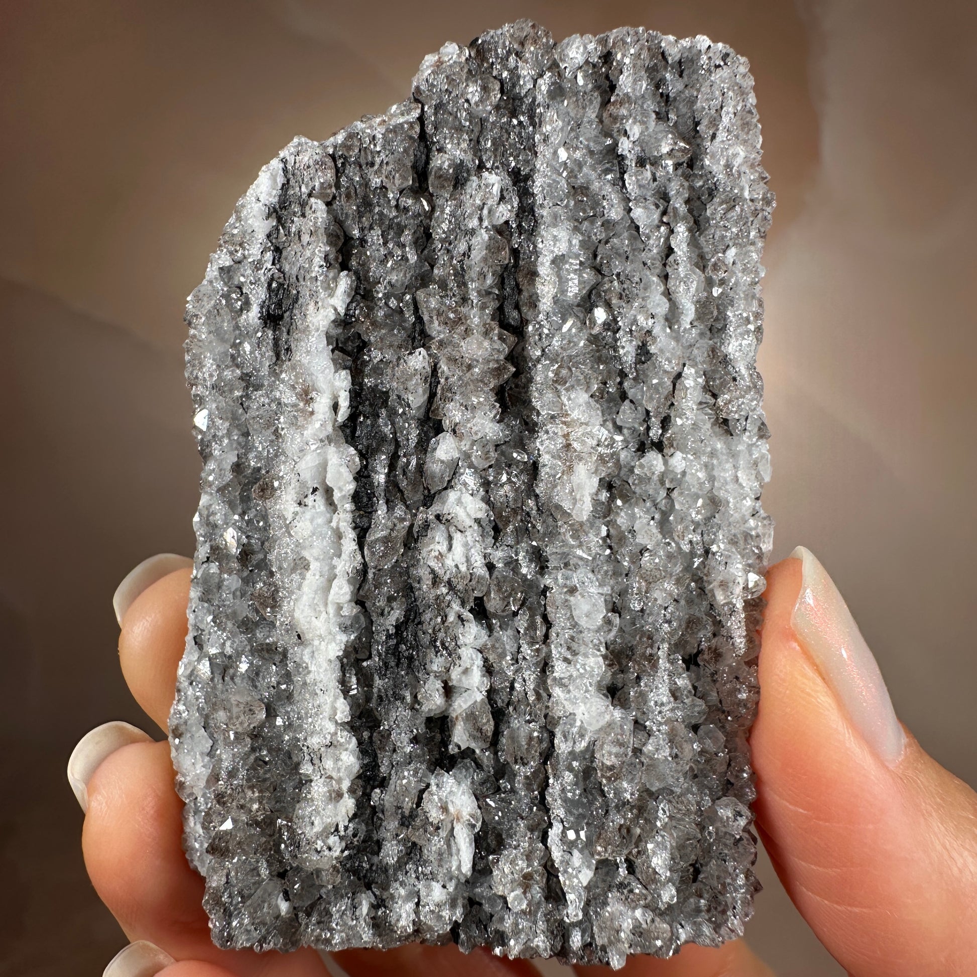 Crystallized Fossil Wood, 96g, Smoky Quartz Druzy on Petrified Wood from Arizona.