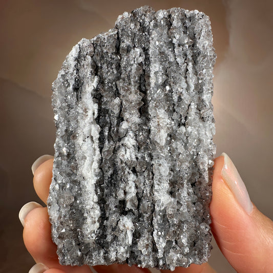 Crystallized Fossil Wood, 96g, Smoky Quartz Druzy on Petrified Wood from Arizona.