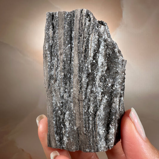 Crystallized Fossil Wood, 135g, Smoky Quartz Druzy on Petrified Wood from Arizona.