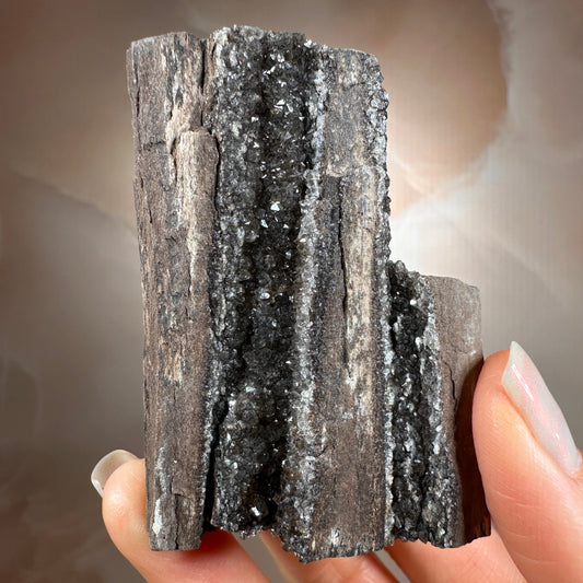 Crystallized Fossil Wood, 102g, Smoky Quartz Druzy on Petrified Wood from Arizona.
