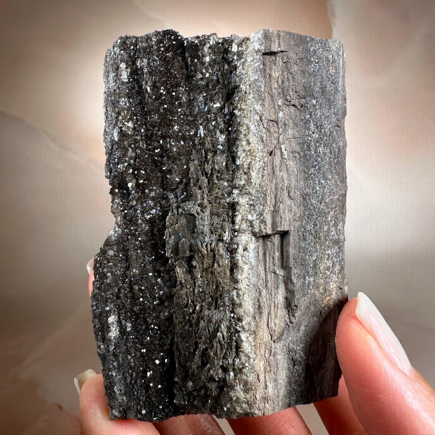 Crystallized Fossil Wood, 177g, Smoky Quartz Druzy on Petrified Wood from Arizona.