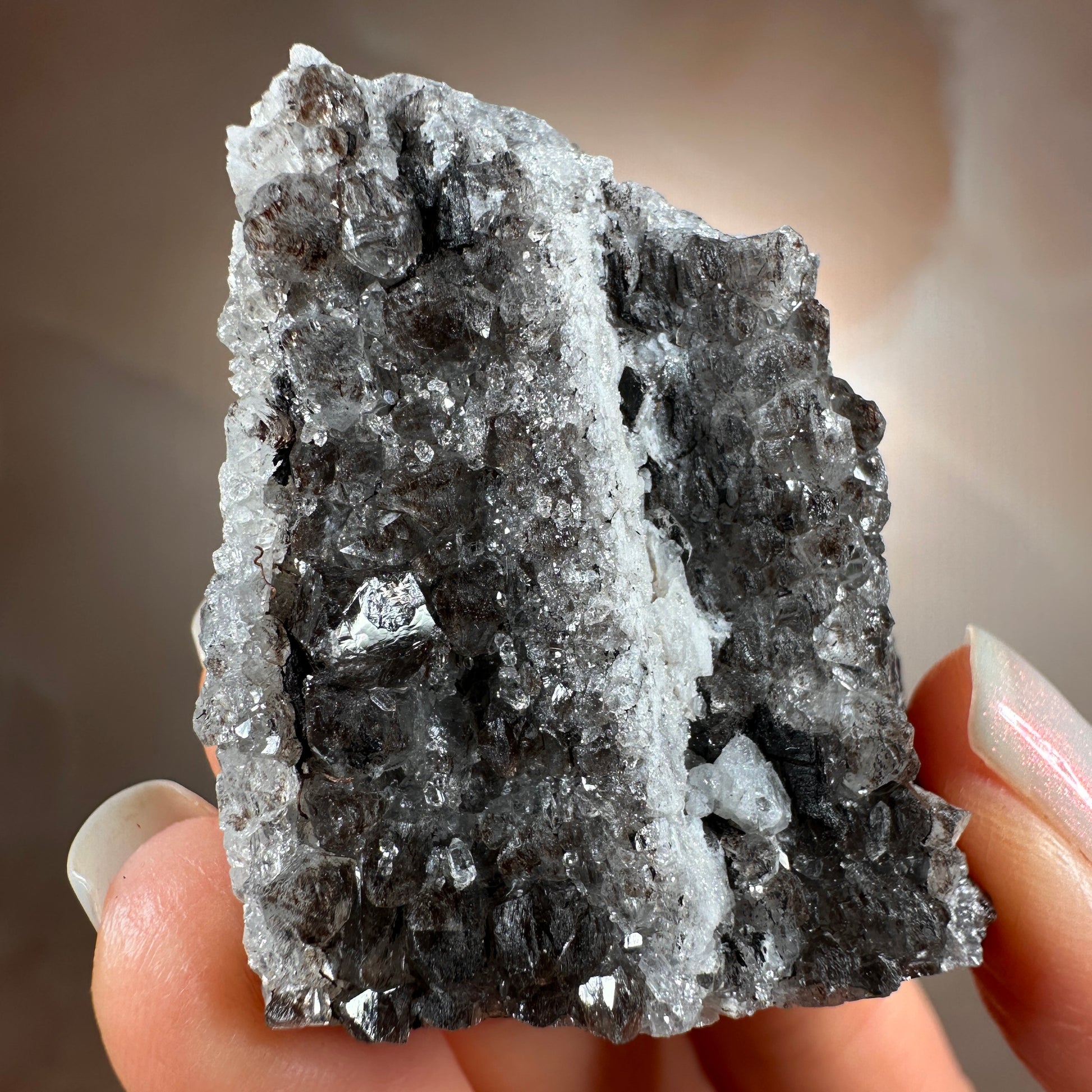 Crystallized Fossil Wood, 42g, Smoky Quartz Druzy on Petrified Wood from Arizona.