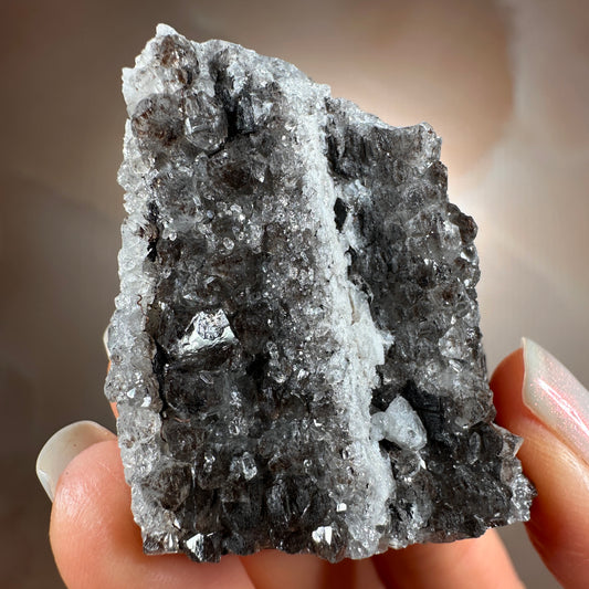 Crystallized Fossil Wood, 42g, Smoky Quartz Druzy on Petrified Wood from Arizona.