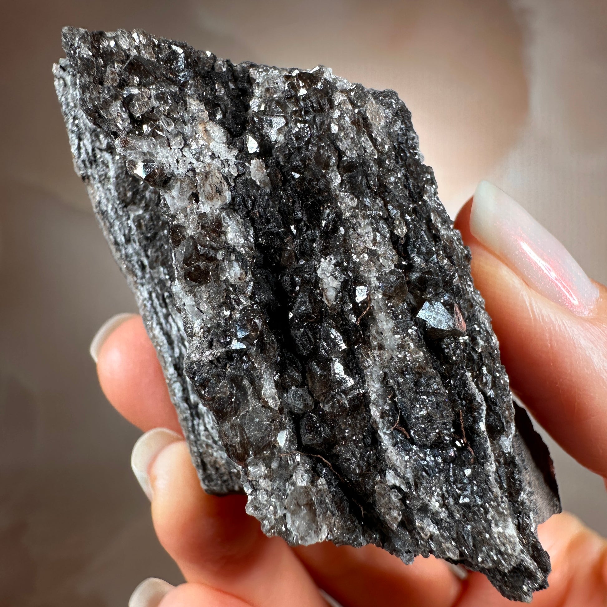 Crystallized Fossil Wood, 85g, Smoky Quartz Druzy on Petrified Wood from Arizona.