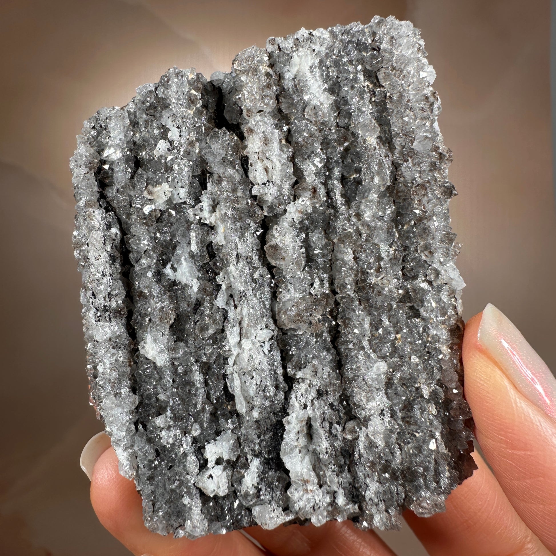 Crystallized Fossil Wood, 104g, Smoky Quartz Druzy on Petrified Wood from Arizona.