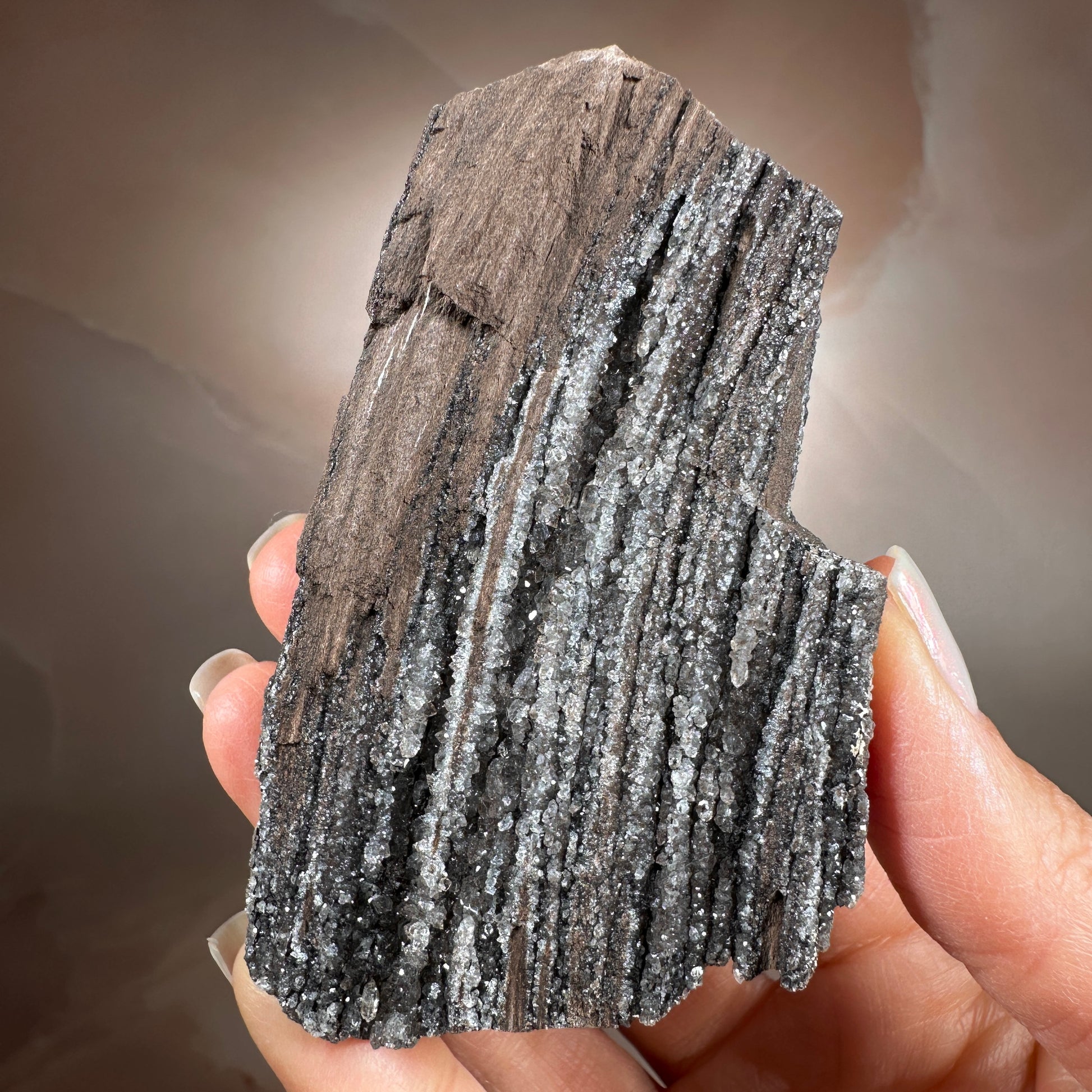 Crystallized Fossil Wood, 115g, Smoky Quartz Druzy on Petrified Wood from Arizona.