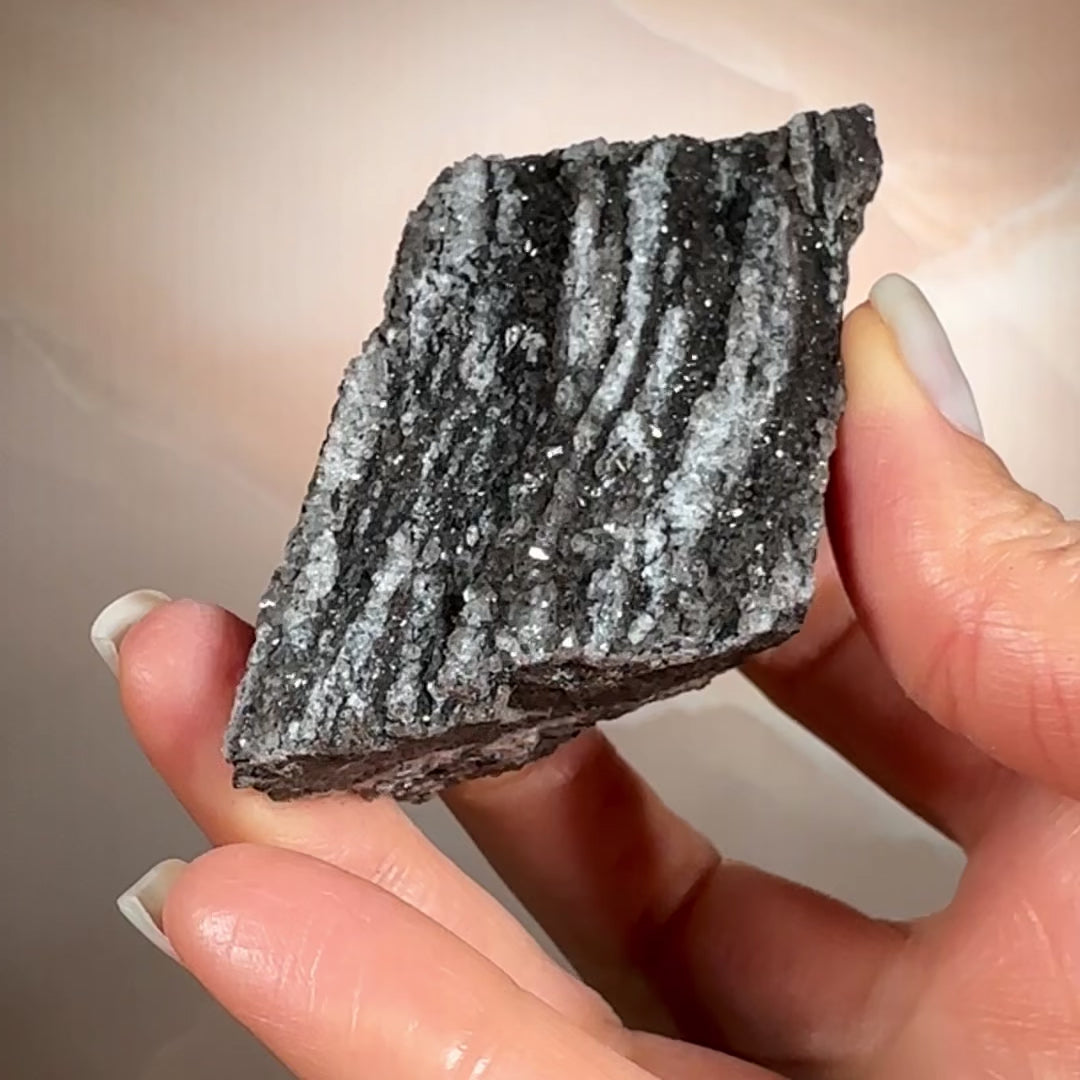 Crystallized Fossil Wood with Smoky Quartz Druzy, 85g | Arizona