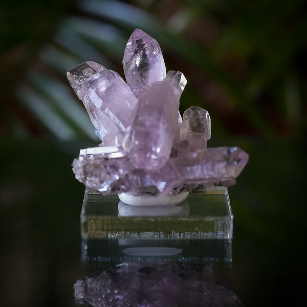 Veracruz Amethyst Cluster with Scepter from Piedra Parada, Veracruz, Mexico, 33.5g