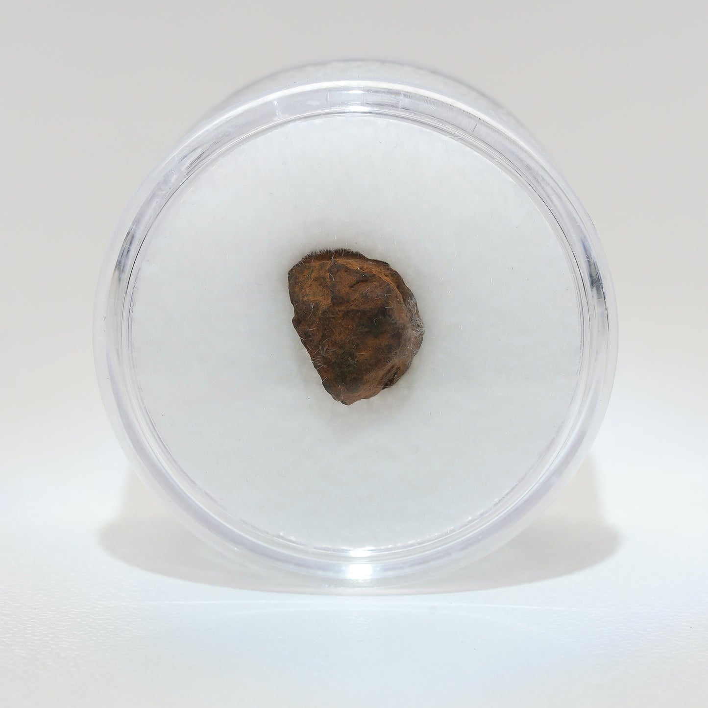 Gibeon Meteorite with Desert Patina from Namaland, Namibia, .8g