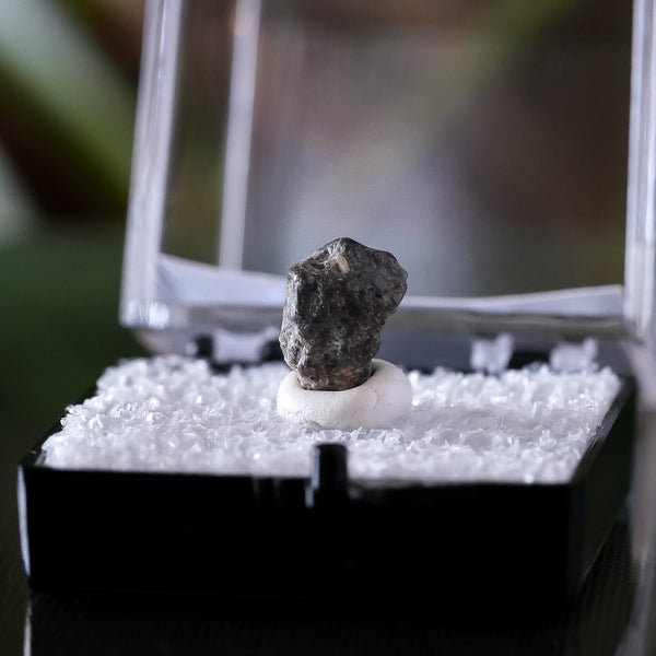 Lunar Meteorite, Lahmada 020, Western Sahara, .6g