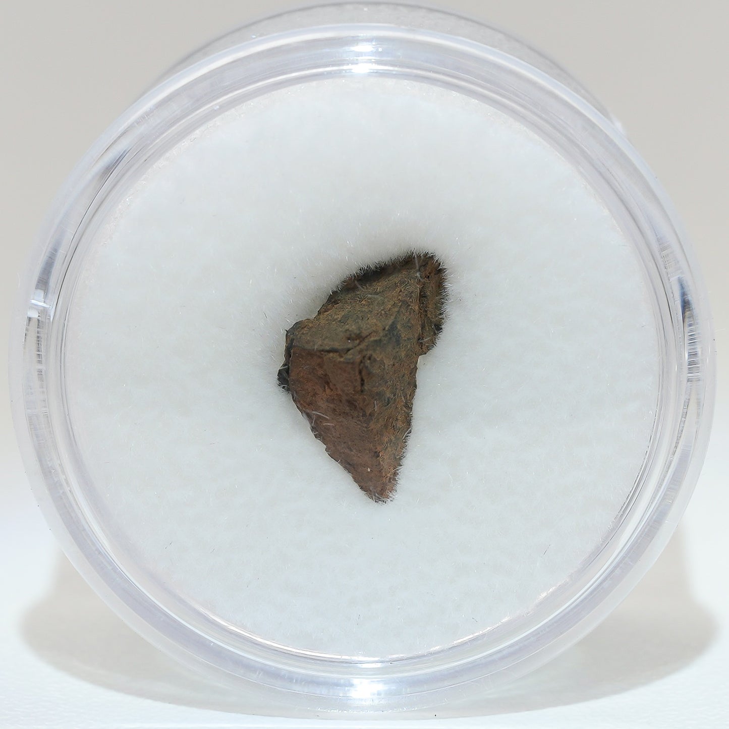 Gibeon Meteorite with Desert Patina from Namaland, Namibia, .7g