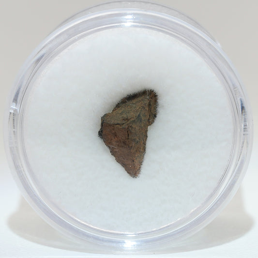 Gibeon Meteorite with Desert Patina from Namaland, Namibia, .7g