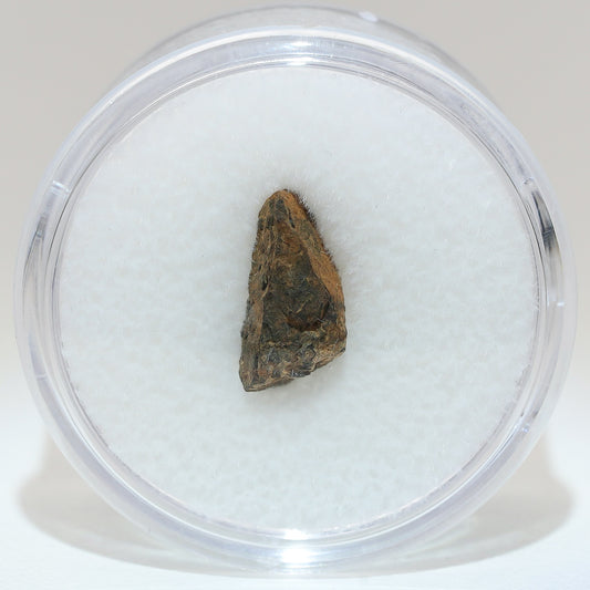 Gibeon Meteorite with Desert Patina from Namaland, Namibia, .9g