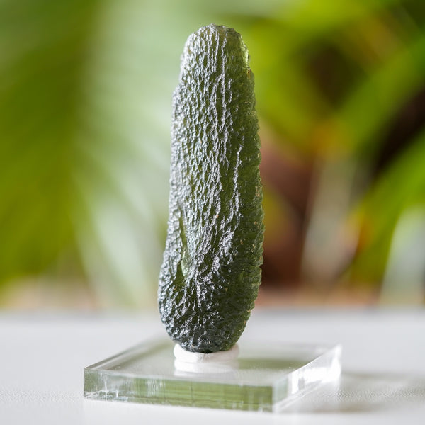 Large Moldavite from Chlum, Czech Republic, 16.7g, Old Collection