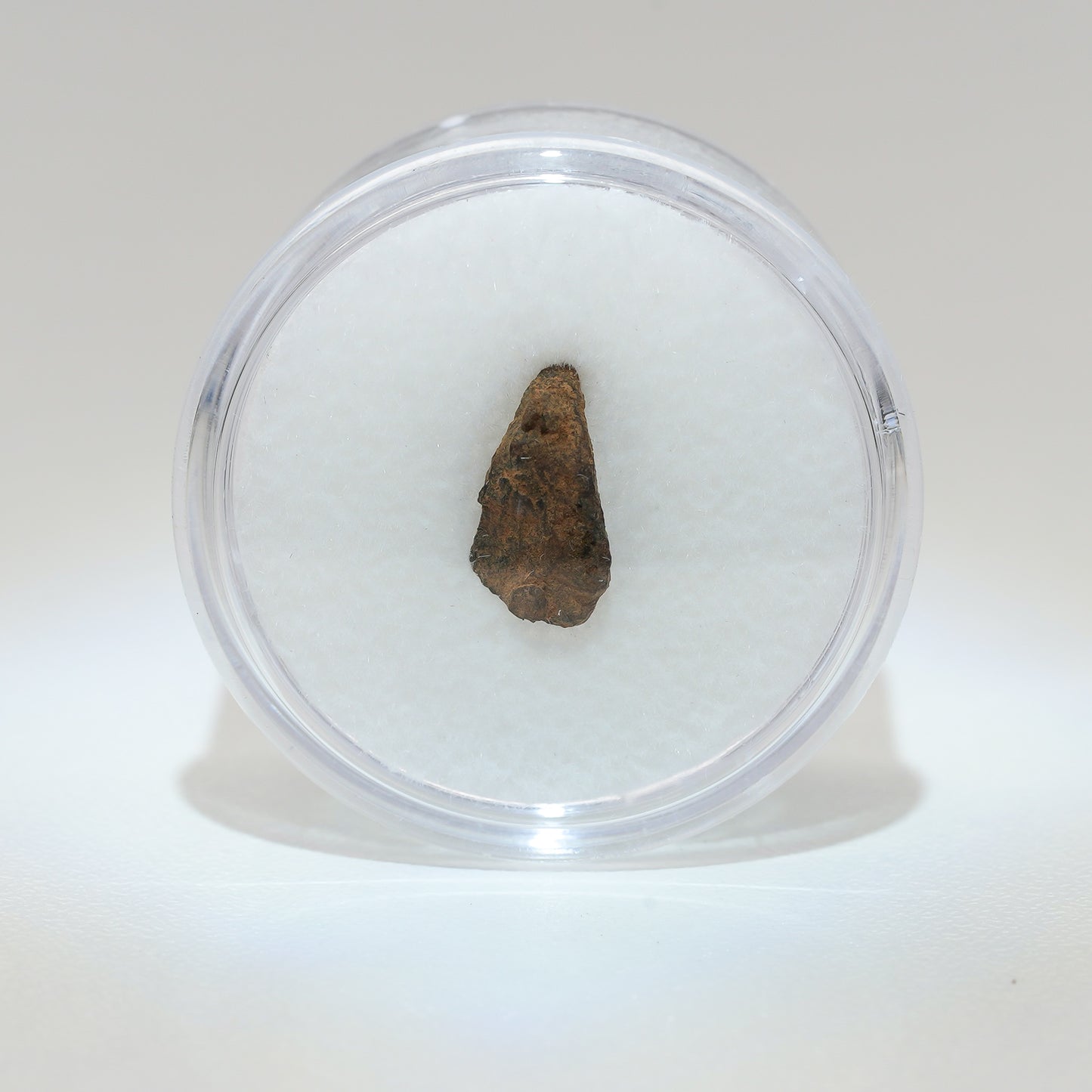 Gibeon Meteorite with Desert Patina from Namaland, Namibia, .6g