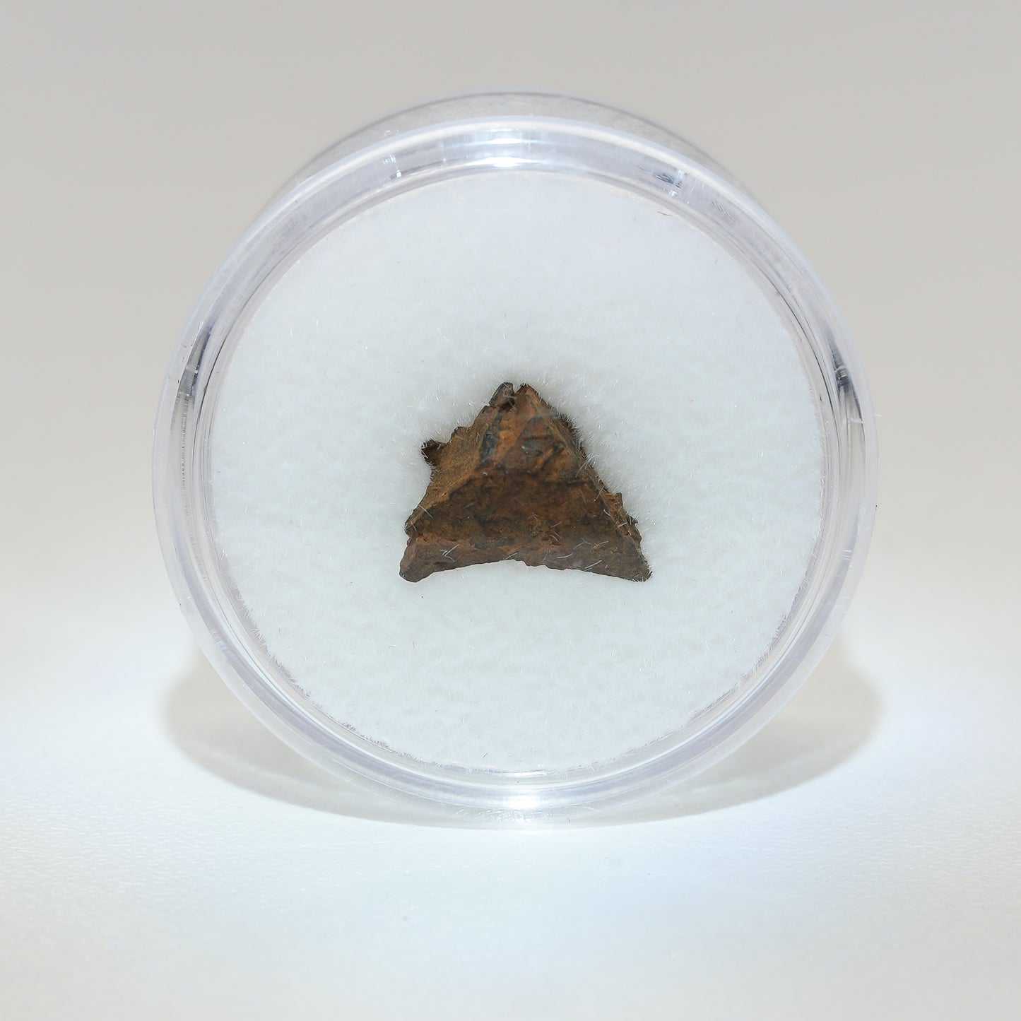 Gibeon Meteorite with Desert Patina from Namaland, Namibia, .8g