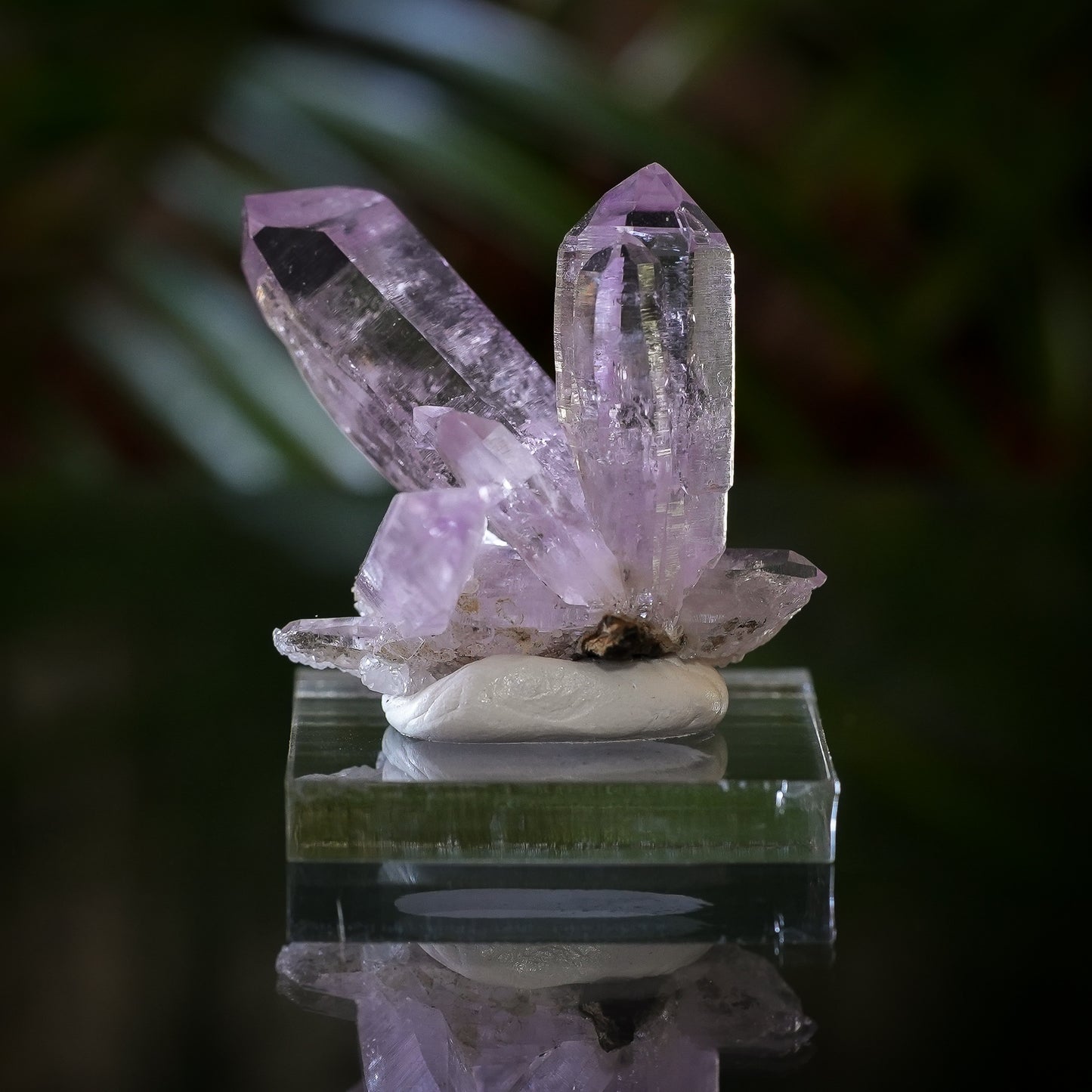 Veracruz Amethyst | Piedra Parada, Veracruz, Mexico, 25.3g