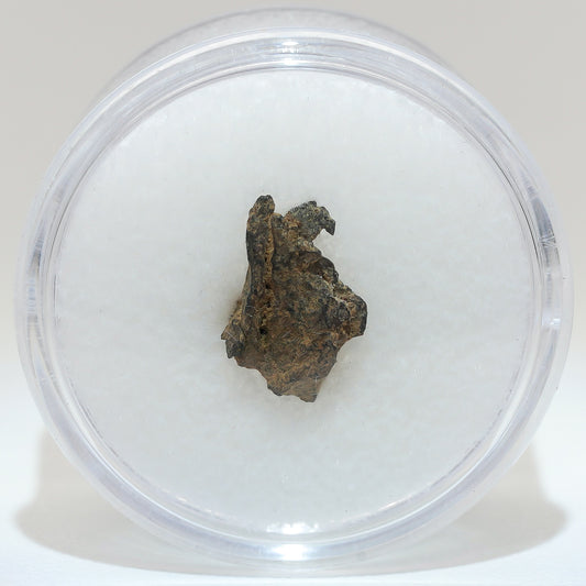 Gibeon Meteorite with Desert Patina from Namaland, Namibia, .6g