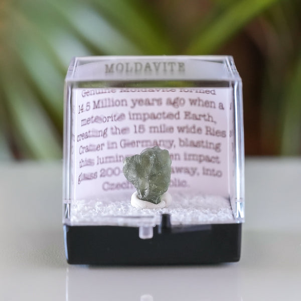 Moldavite with Collectors Box from Chlum, Czech Republic, 3ct