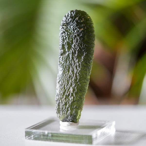 Large Moldavite from Chlum, Czech Republic, 16.7g, Old Collection