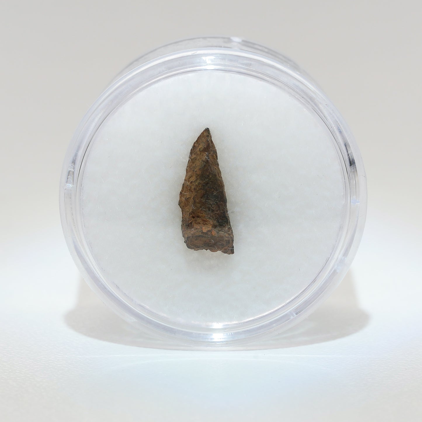 Gibeon Meteorite with Desert Patina from Namaland, Namibia, .8g
