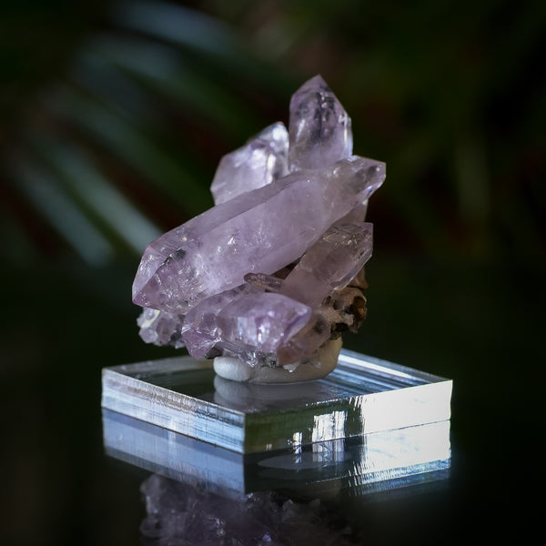 Veracruz Amethyst Cluster with Scepter from Piedra Parada, Veracruz, Mexico, 33.5g