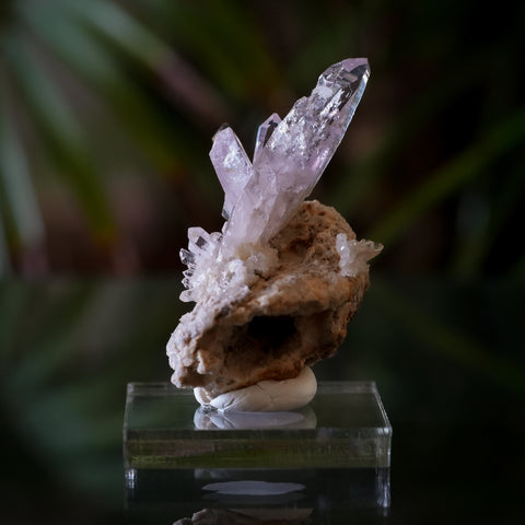 Veracruz Amethyst from Piedra Parada, Veracruz, Mexico, 19.9