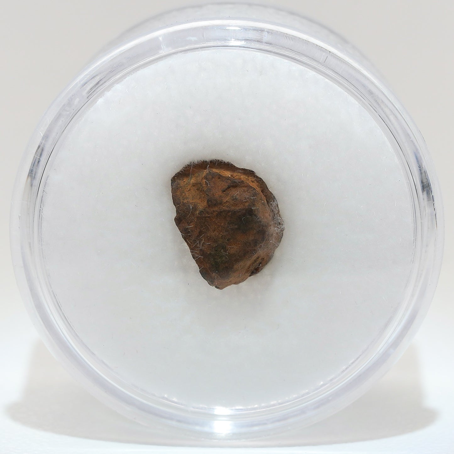 Gibeon Meteorite with Desert Patina from Namaland, Namibia, .8g