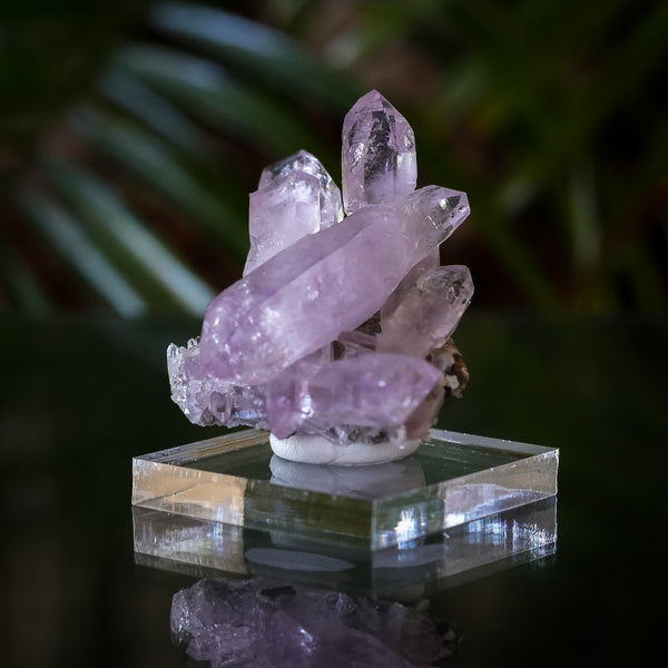 Veracruz Amethyst Cluster with Scepter from Piedra Parada, Veracruz, Mexico, 33.5g