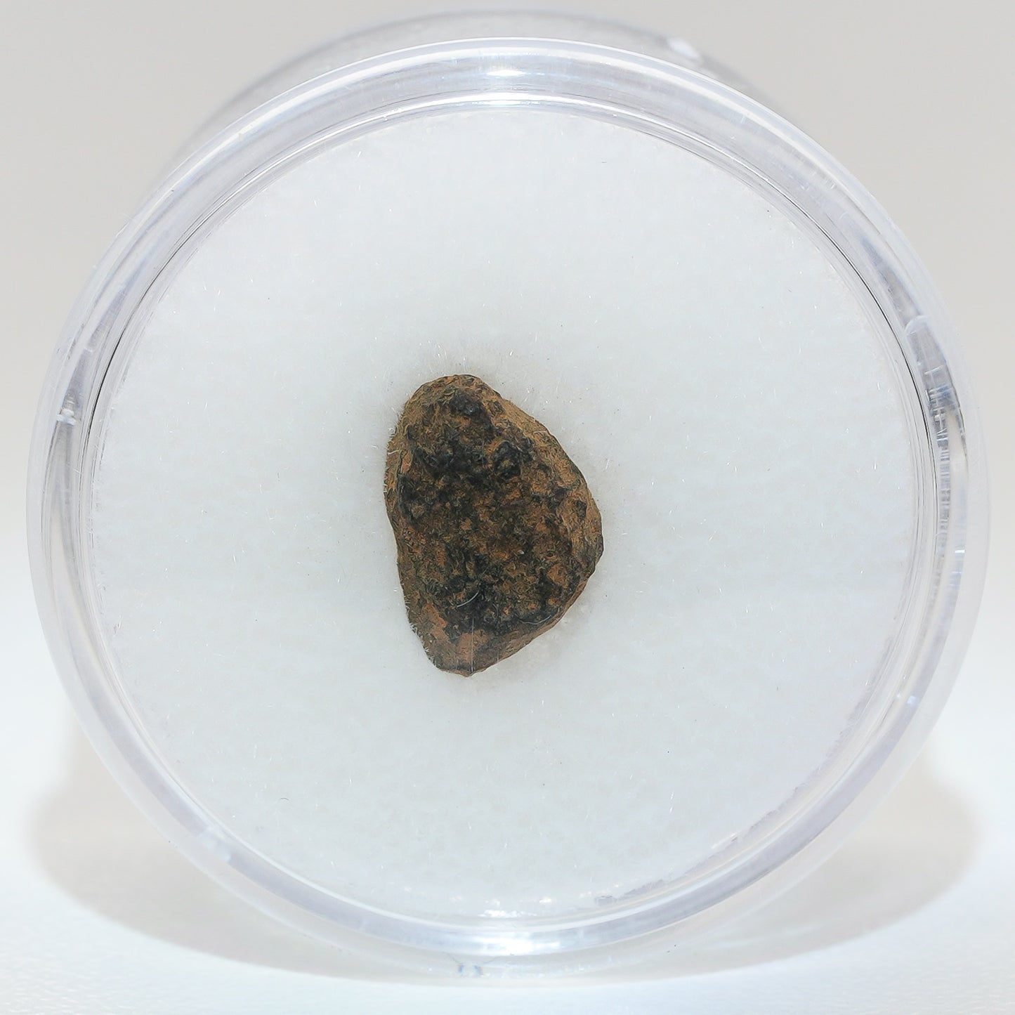 Gibeon Meteorite with Desert Patina from Namaland, Namibia, 1g