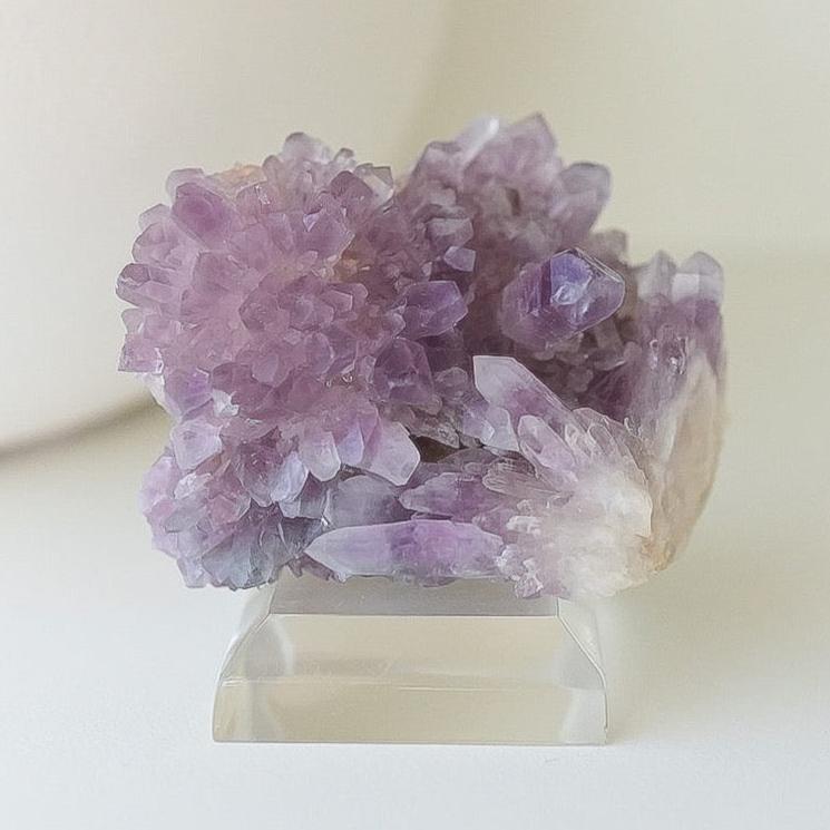 Guerrero Amethyst Cluster, Amatitlán, Gurerrero, Mexico