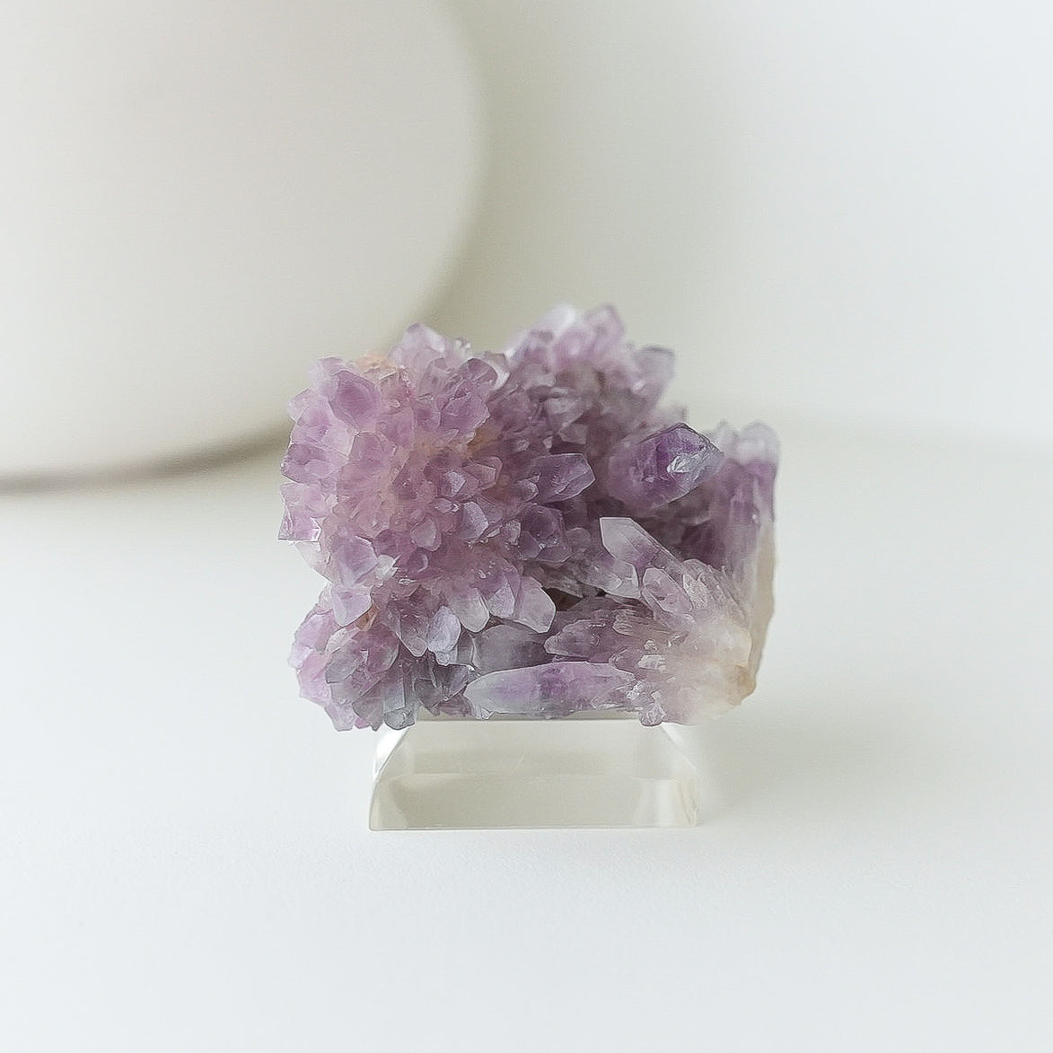 Guerrero Amethyst Cluster, Amatitlán, Gurerrero, Mexico